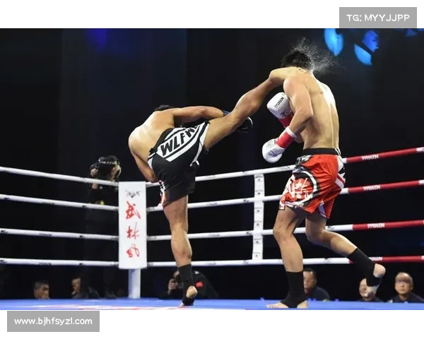 18年武林风赛事;2019年武林风