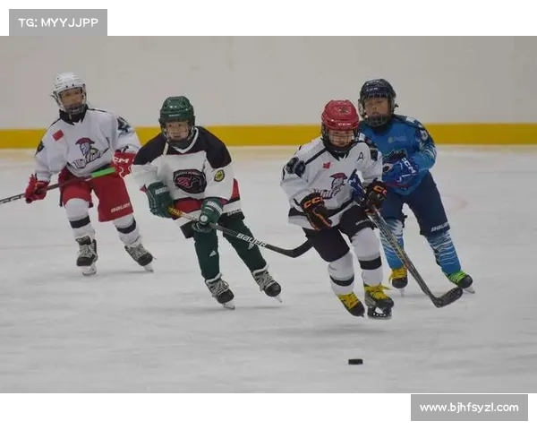 最大的冰球赛事在哪里